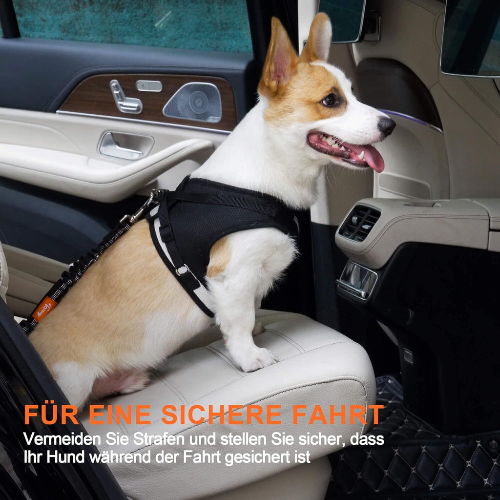 Perro Cinturón De Seguridad, Elástico Ruck Dämp Fung Y Fuerte Mosquetón, Ajustable Perros Correa Alta Seguridad Para Todas Las Razas Perros Y Gatos, Negro